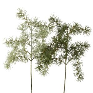 Декоративна ветка Кифер, 2 ас. 30х62 см