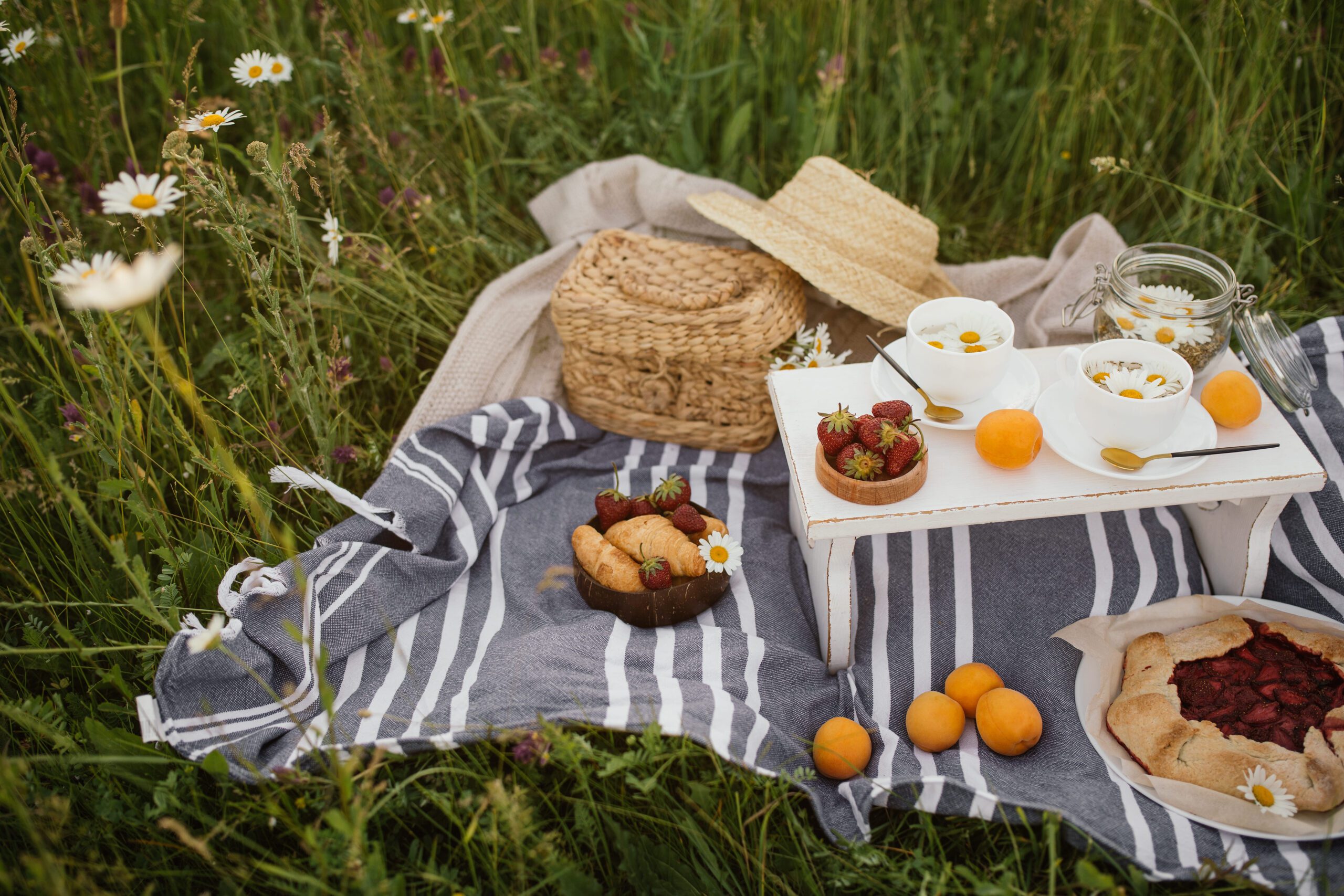 beautiful summer picnic with fresh herbal chamomil 2024 11 25 21 23 07 utc scaled