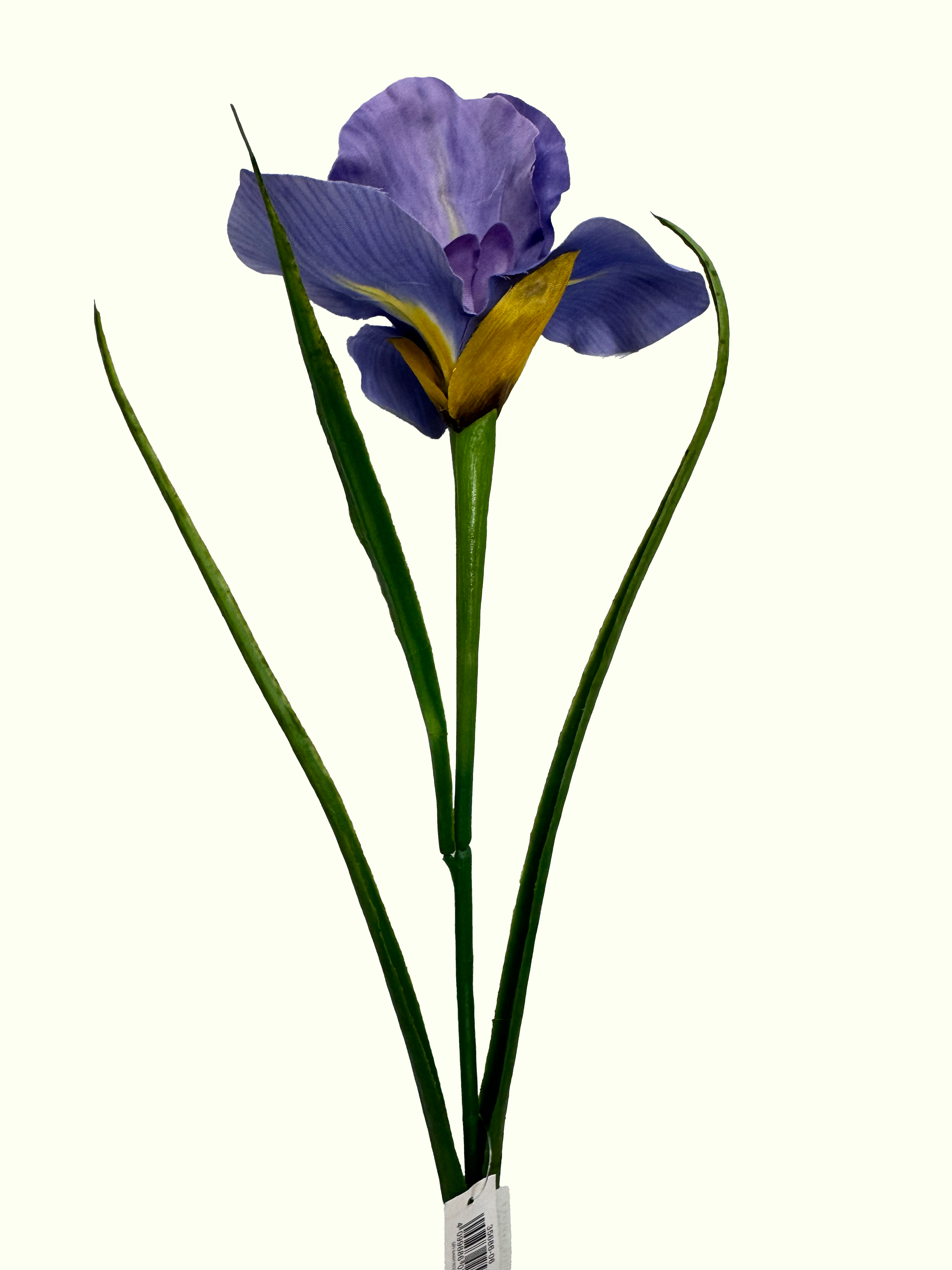 Ирис iris Реалистичный искусственный цветок Ирис фиолетового цвета высотой 60 см. Идеален для оформления интерьера, букетов и фотозон. <ul> <li>Размер: 60 см</li> <li>Материал: Полирезин</li> <li>Вес товара: 0,03 кг</li> </ul>