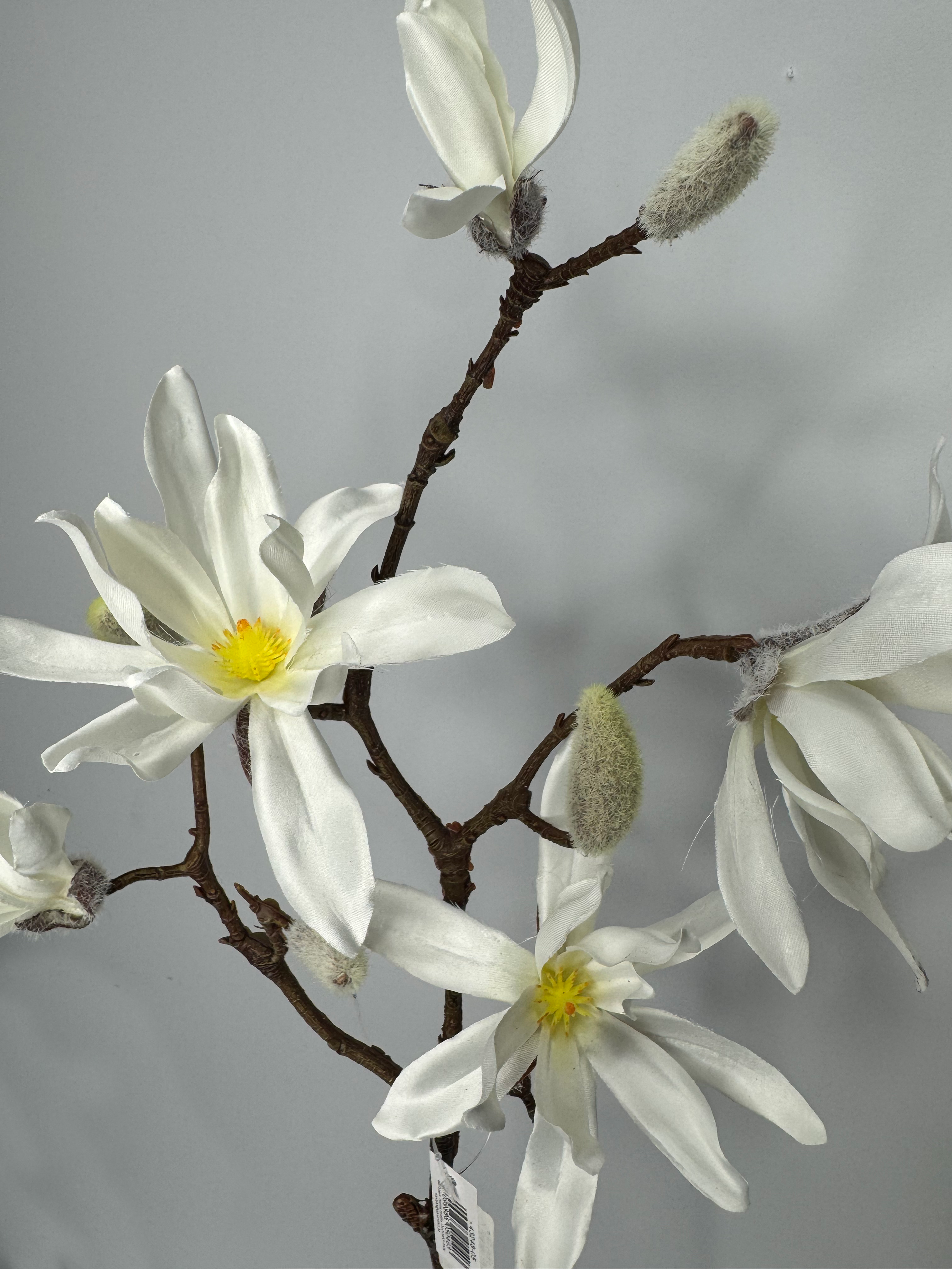 магнолия разцв magnolija razcv <strong data-start="671" data-end="690">Характеристики:</strong> <ul> <li>Тип: декоративная ветка</li> <li>Модель: магнолия, весенняя</li> <li>Длина: 90 см</li> <li>Состояние бутонов: нераспустившиеся почки</li> <li>Назначение: для интерьерного декора и композиций</li> <li>Страна происхождения: Германия</li> <li>Производитель: DPI</li> </ul>