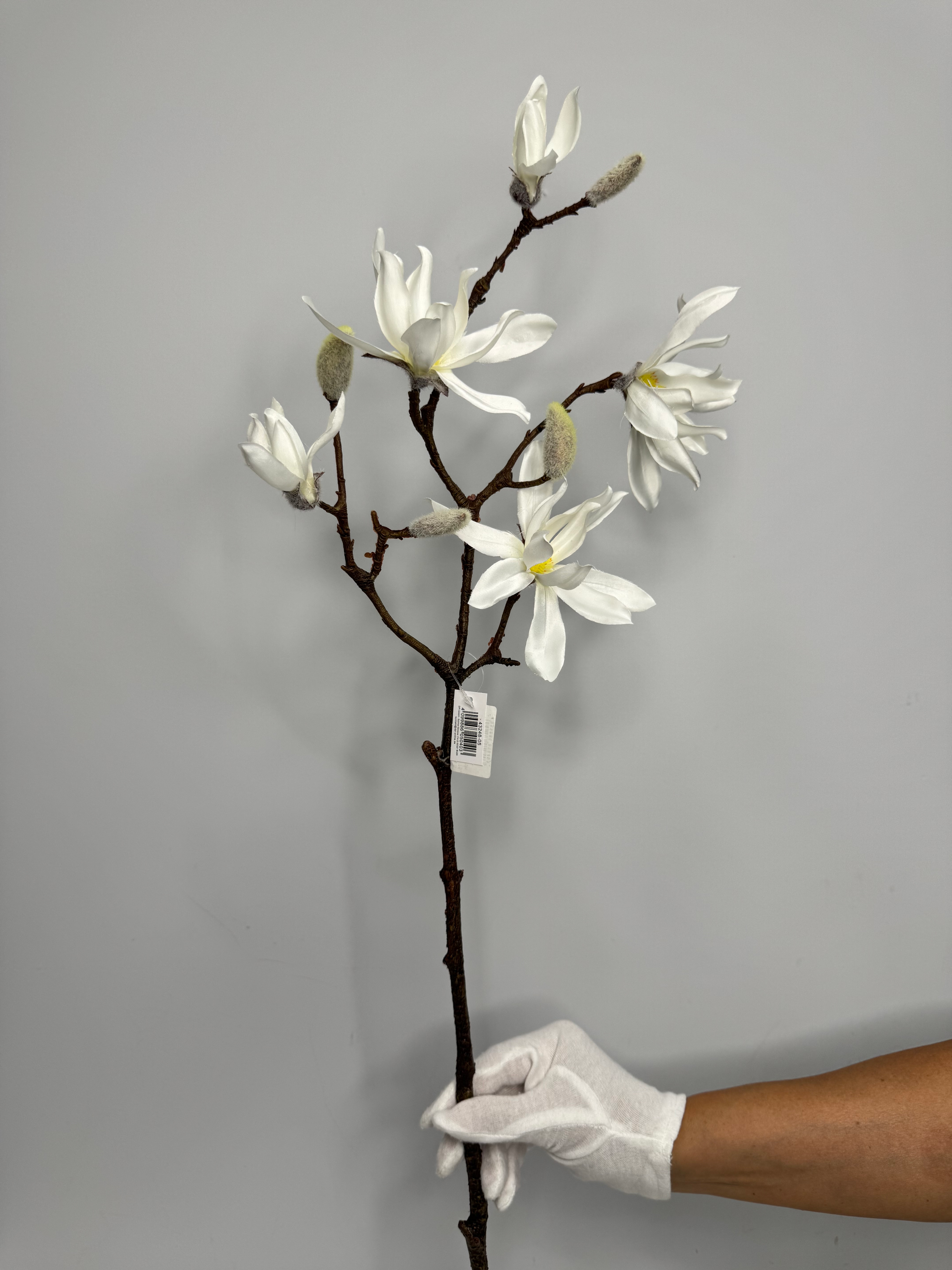 магнолия с 5 ці magnolija s 5 ci <strong data-start="671" data-end="690">Характеристики:</strong> <ul> <li>Тип: декоративная ветка</li> <li>Модель: магнолия, весенняя</li> <li>Длина: 90 см</li> <li>Состояние бутонов: нераспустившиеся почки</li> <li>Назначение: для интерьерного декора и композиций</li> <li>Страна происхождения: Германия</li> <li>Производитель: DPI</li> </ul>