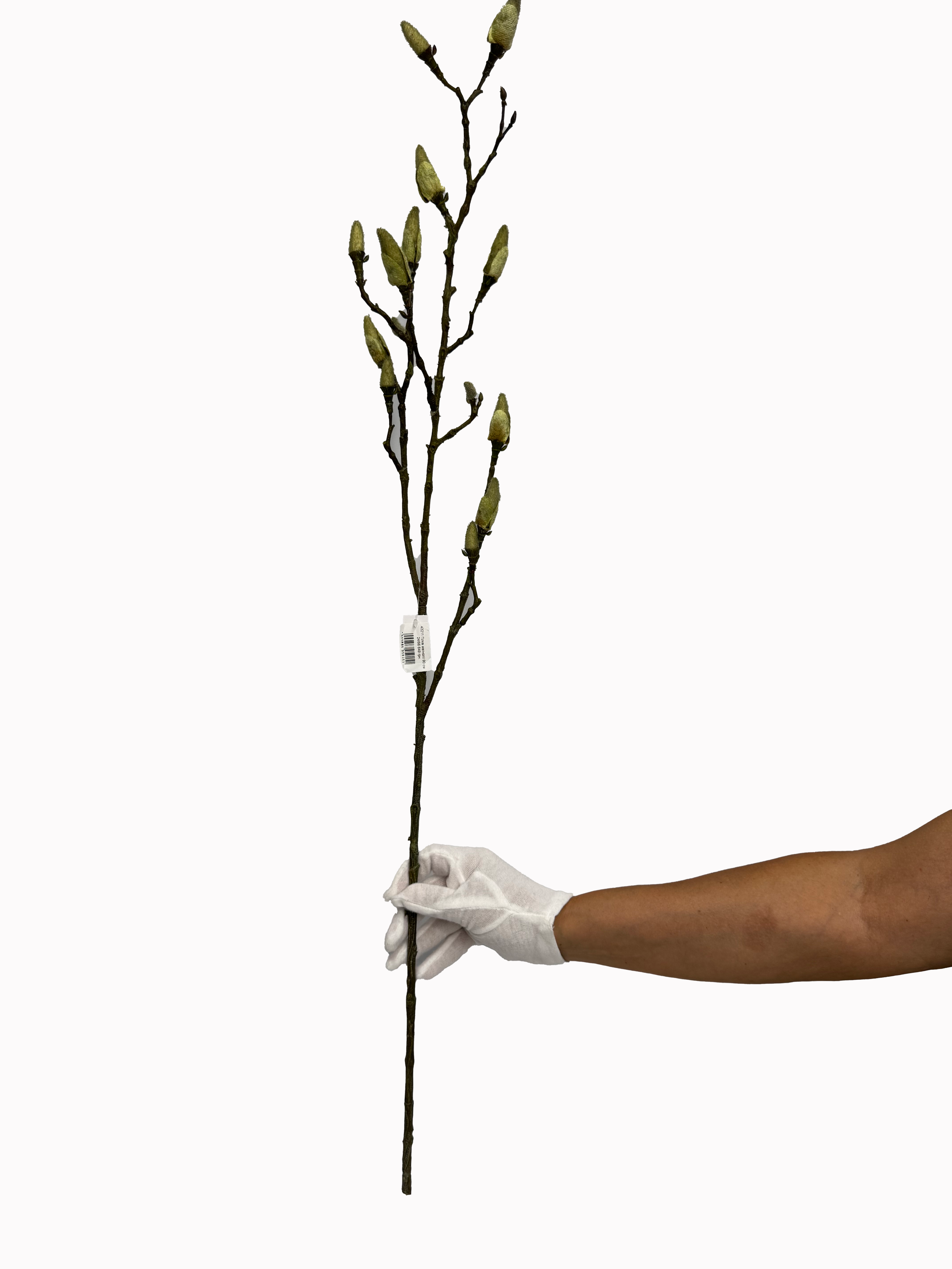 магнолия3 magnolija3 1 <strong data-start="85" data-end="103">Гілка магнолії - </strong>Витончена декоративна довжиною <strong data-start="113" data-end="122">90 см</strong> — ідеальний акцент для весняного декору. Ніжні <strong data-start="170" data-end="197">бруньки ще не розквітли</strong>, тому композиція виглядає природно та дуже делікатно — ніби мить перед справжнім цвітінням.
