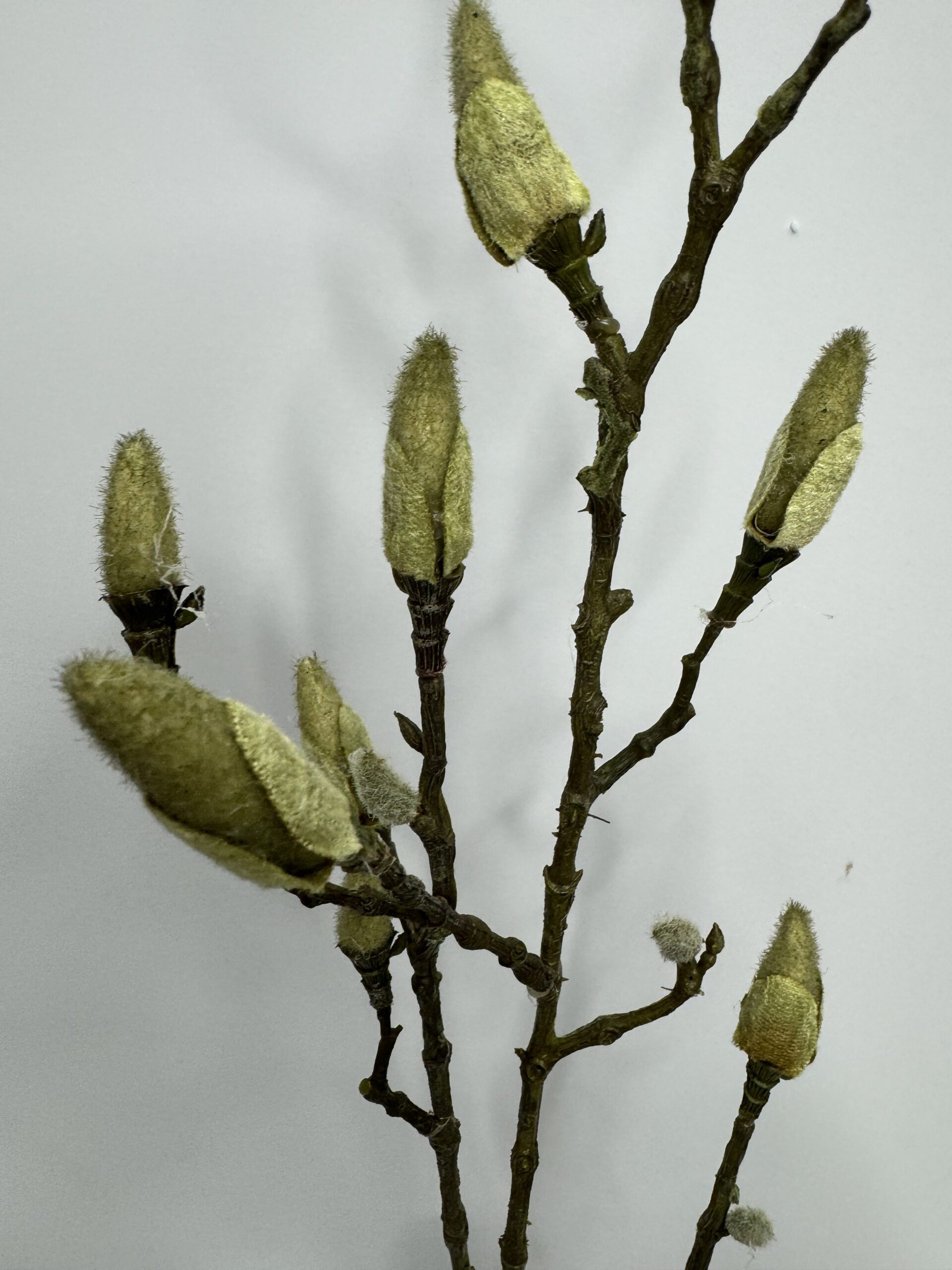 магнолия5 magnolija5 scaled <strong data-start="85" data-end="103">Гілка магнолії - </strong>Витончена декоративна довжиною <strong data-start="113" data-end="122">90 см</strong> — ідеальний акцент для весняного декору. Ніжні <strong data-start="170" data-end="197">бруньки ще не розквітли</strong>, тому композиція виглядає природно та дуже делікатно — ніби мить перед справжнім цвітінням.