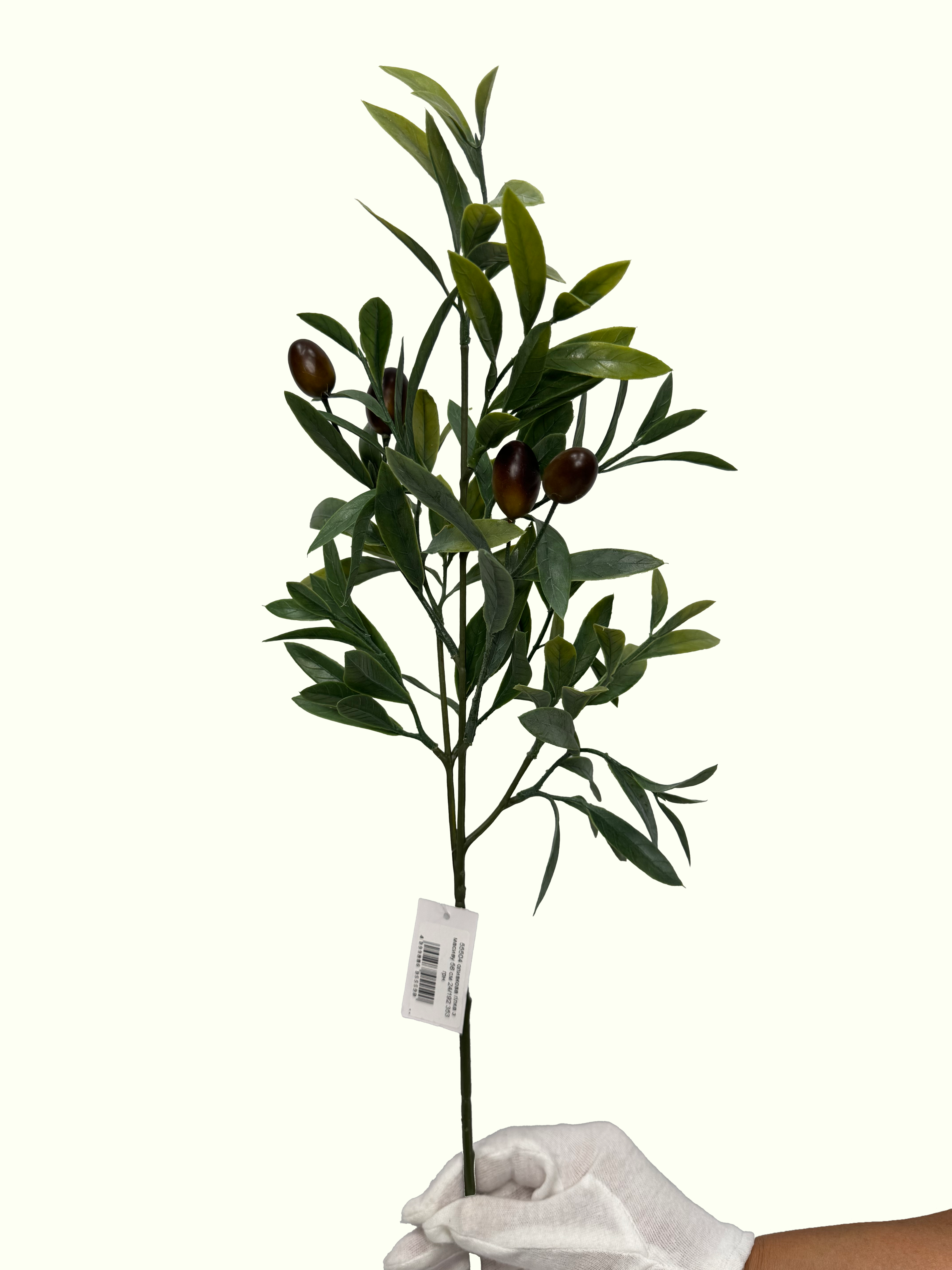 оливка1 olivka1 <ul> <li>реалистичные листья и декоративные оливки</li> <li>естественный, сдержанный зеленый акцент</li> <li>подходит для различных стилей интерьера</li> <li>не требует ухода</li> <li>Назначение: для интерьерного декора и флористических композиций</li> <li>Длина: 56 см</li> <li>Страна происхождения: Германия</li> <li>Производитель: DPI</li> </ul>
