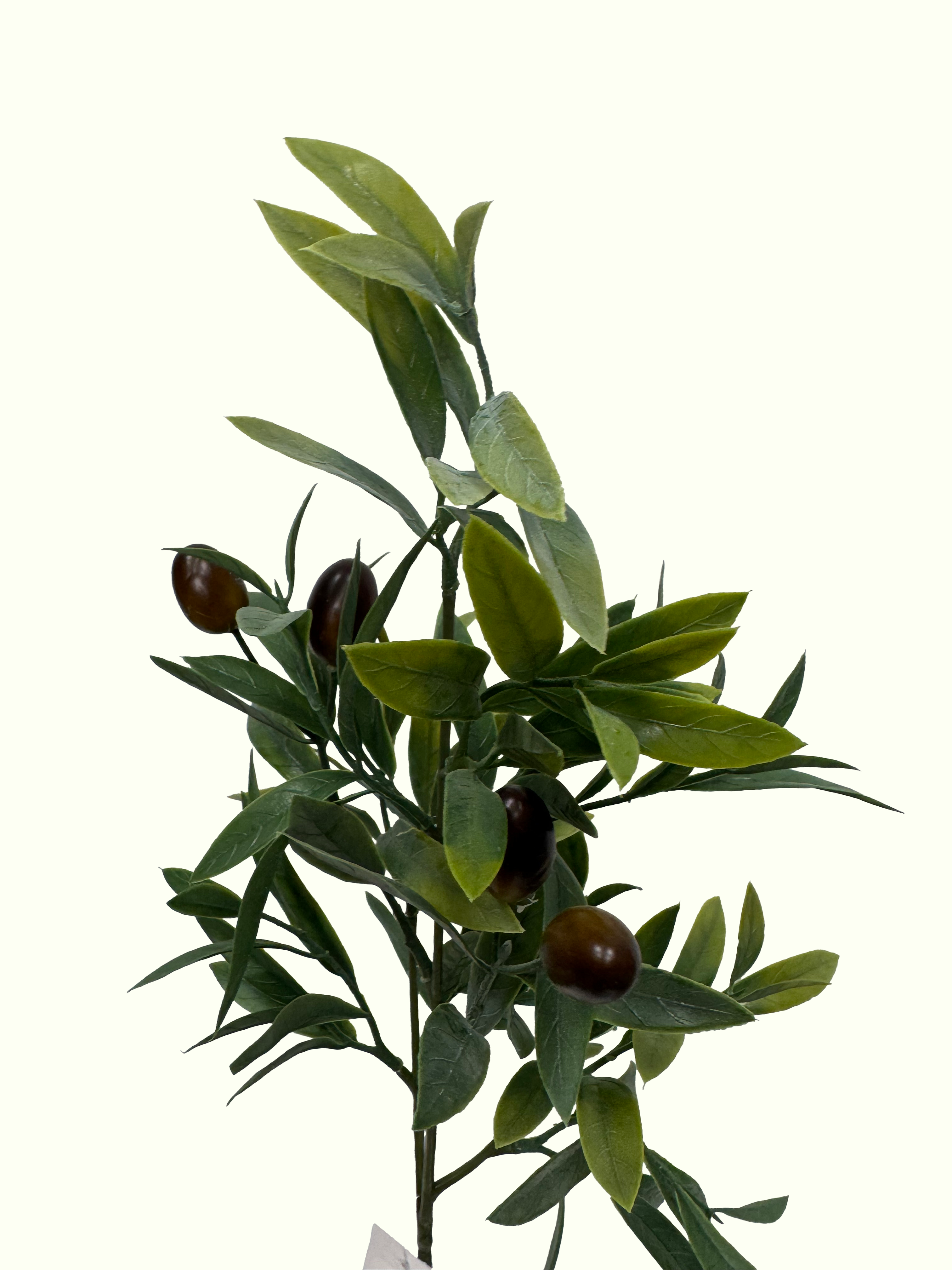 оливка3 olivka3 <ul> <li>реалистичные листья и декоративные оливки</li> <li>естественный, сдержанный зеленый акцент</li> <li>подходит для различных стилей интерьера</li> <li>не требует ухода</li> <li>Назначение: для интерьерного декора и флористических композиций</li> <li>Длина: 56 см</li> <li>Страна происхождения: Германия</li> <li>Производитель: DPI</li> </ul>