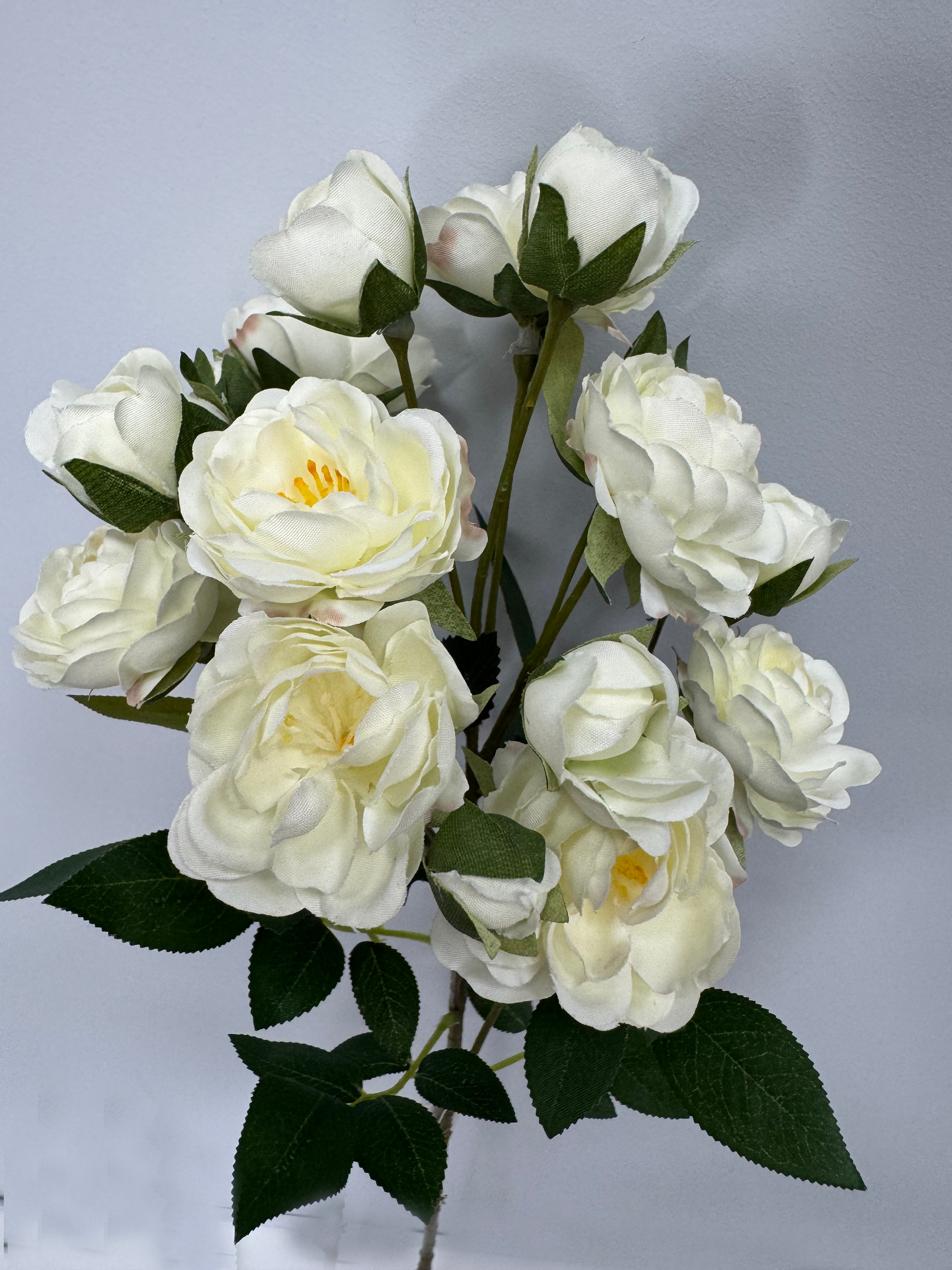 троянди1 trojandi1 <strong data-start="671" data-end="690">Характеристики:</strong> <ul> <li>Тип: декоративна гілка</li> <li data-start="720" data-end="747">Модель: магнолія, весняна</li> <li data-start="720" data-end="747">Довжина: <strong data-start="759" data-end="768">90 см</strong></li> <li data-start="773" data-end="812">Стан бутонів: <strong data-start="787" data-end="810">нерозквітлі бруньки</strong></li> <li>Призначення: для інтер’єрного декору та композицій</li> <li>Країна походження: Німеччина</li> <li>Виробник: DPI</li> </ul>